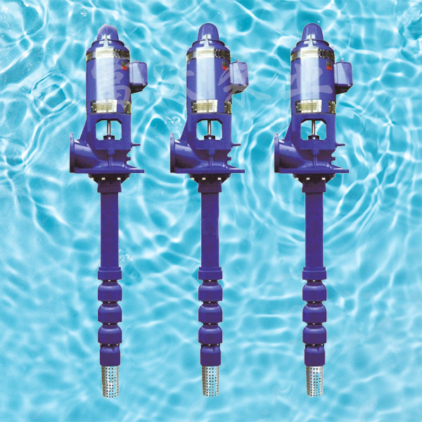 長(zhǎng)軸深井泵